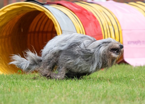 Foundation Agility